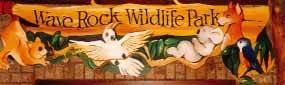 Wave Rock Hotel Motel - Tourism Caloundra 0