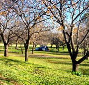 Wellington Caves Caravan Park - Tourism Caloundra