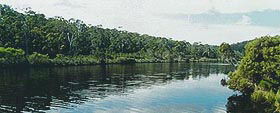 Nornalup Riverside Chalets - Tourism Caloundra 3