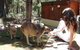 Yelverton Brook Eco Spa Retreat And Conservation Sanctuary - thumb 0