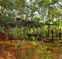Arnhemland Barramundi Nature Lodge - Tourism Caloundra