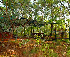 Arnhemland Barramundi Nature Lodge - Tourism Caloundra 0
