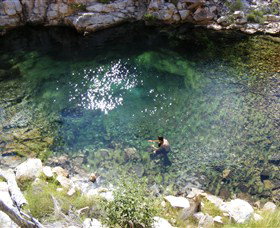 Lorella Springs Wilderness Park - Tourism Caloundra 4