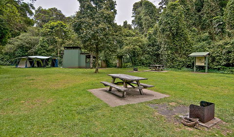 Forest Tops Campground - Tourism Caloundra 0