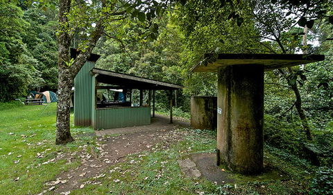 Forest Tops Campground - Tourism Caloundra 1