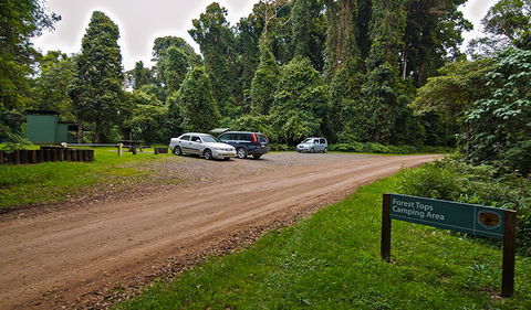 Forest Tops Campground - Tourism Caloundra 2