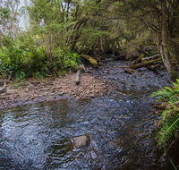 Horse Swamp campground - Tourism Caloundra