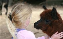 Kangaroo Valley Glenmack Park - Tourism Caloundra 1