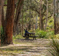 Koreelah Creek campground - Tourism Caloundra