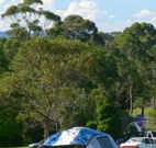 Milton Valley Holiday Park - Tourism Caloundra