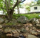 Mt Warning Rainforest Park - Tourism Caloundra
