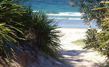 Brundee NSW Tourism Caloundra