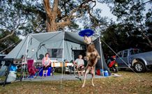 North Coast Holiday Parks North Haven - Tourism Caloundra 6