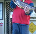Rainbow Pines Tourist Caravan Park - Tourism Caloundra