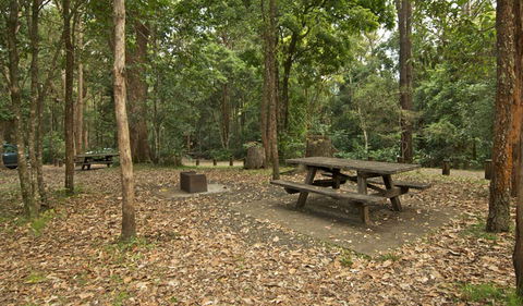 Sheepstation Creek Campground - Tourism Caloundra 0