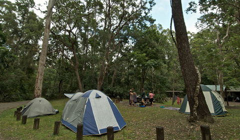 Sheepstation Creek Campground - Tourism Caloundra 2
