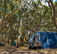Stewart and Lloyds campground - Tourism Caloundra