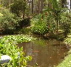 Tallowood Ridge B and B - Tourism Caloundra