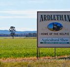 The Ardlethan Kelpie Caravan Park - Tourism Caloundra