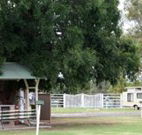 Warialda Caravan Park - Tourism Caloundra