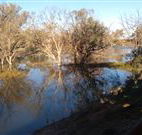 Warrawong on the Darling - Tourism Caloundra