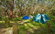 Yagon Campground - thumb 2