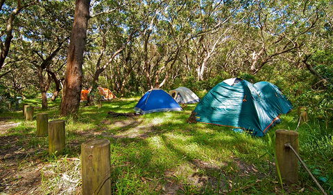 Yagon Campground - Tourism Caloundra 2