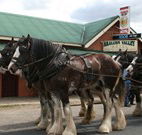 Araluen Valley Hotel - Araluen - Tourism Caloundra