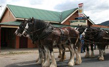 Araluen Valley Hotel - Araluen - Tourism Caloundra 0