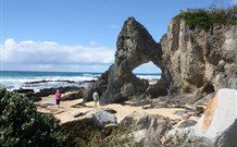 Narooma YHA - Narooma - Tourism Caloundra 5