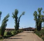 Newell Motor Inn - Narrandera - Tourism Caloundra