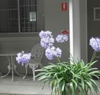 Pine Lodge Motel - Woolgoolga - Tourism Caloundra