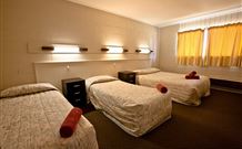 Snowy Mountains Motel - Adaminaby - Tourism Caloundra 5