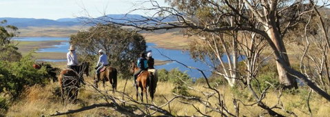 Reynella Homestead And Horseback Rides - Tourism Caloundra 3