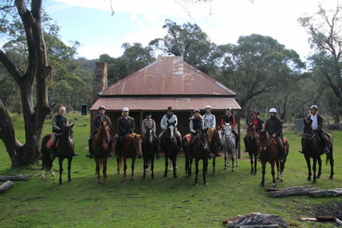 Reynella Homestead And Horseback Rides - Tourism Caloundra 4