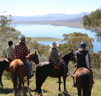 Reynella Homestead and Horseback Rides - Tourism Caloundra