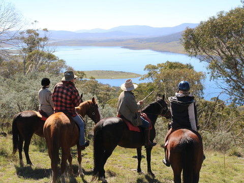 Reynella Homestead And Horseback Rides - Tourism Caloundra 0