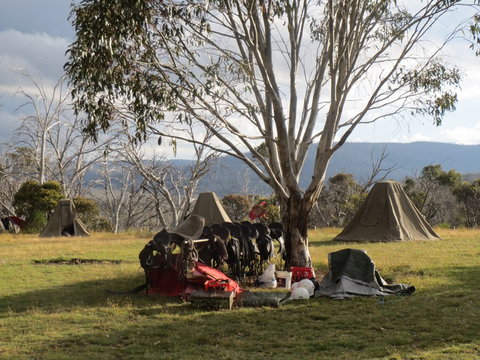 Reynella Homestead And Horseback Rides - Tourism Caloundra 1
