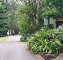 Tamborine Mountain Caravan  Camping - Tourism Caloundra