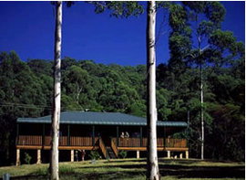 Dungog NSW Tourism Caloundra