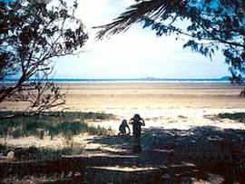 Midge Point QLD Tourism Caloundra