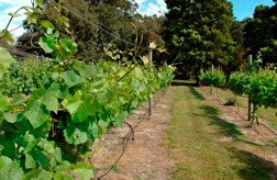 Between The Bays Retreat - Tourism Caloundra 2