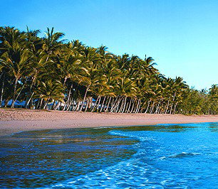 Novotel Palm Cove Resort - Tourism Caloundra 1