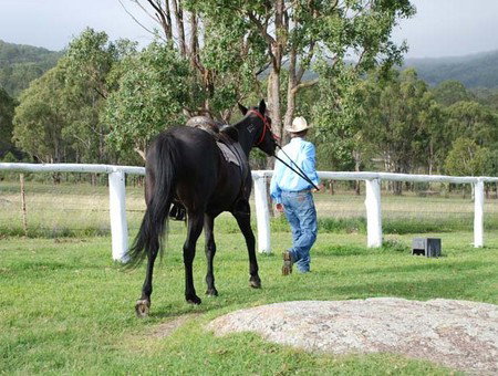 Cherrabah Resort - Tourism Caloundra 2
