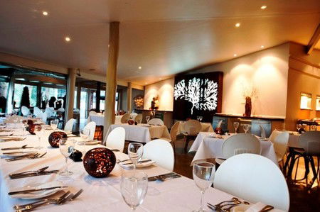 Cedar Creek Lodges - Tourism Caloundra 1