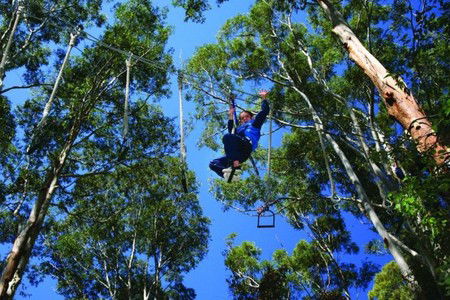 Cedar Creek Lodges - Tourism Caloundra 3