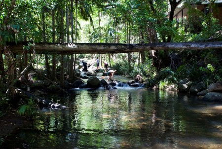Cedar Creek Lodges - Tourism Caloundra 5