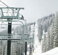 Swagman Chalet - Tourism Caloundra