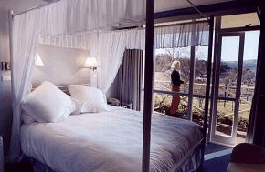 Port Arthur Motor Inn - Tourism Caloundra 4