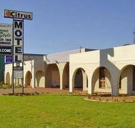 Citrus Motel - Tourism Caloundra